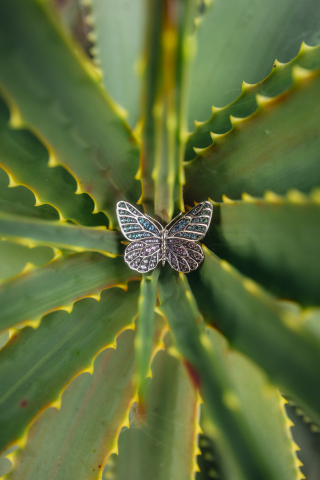 Preludium Butterfly_6